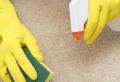 Making your home more comfortable, or How to clean a carpet at home How to clean a carpet at home using folk remedies
