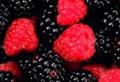 The best interpretations of dreams about blackberries